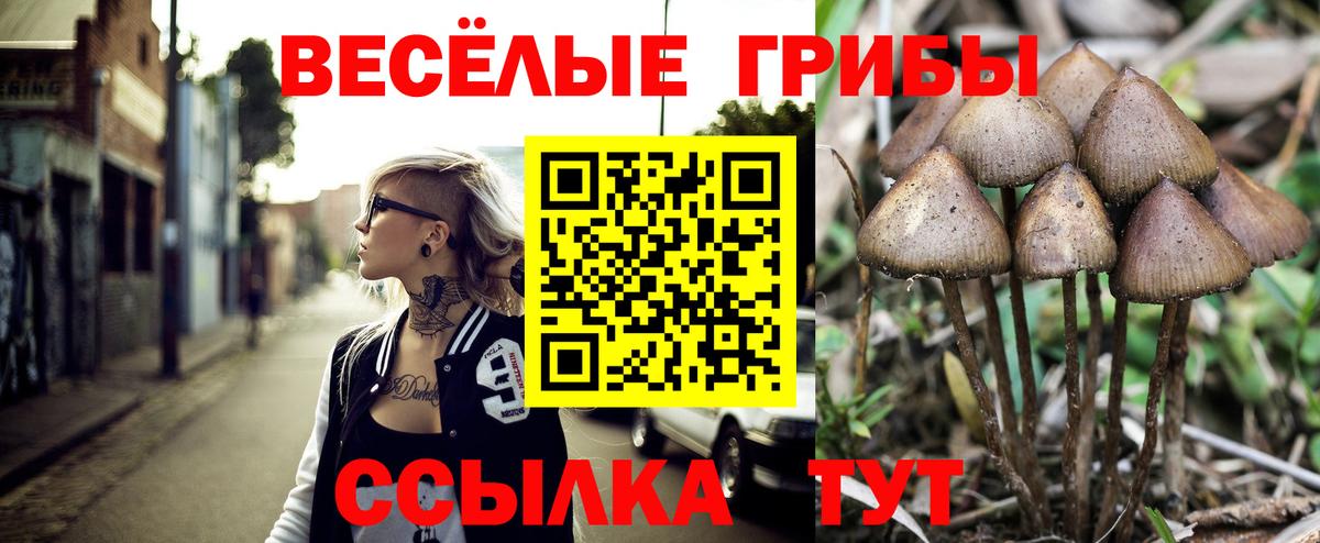 Псилоцибиновые грибы Cubensis Таганрог